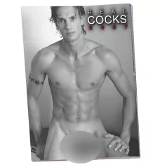   „Real Cocks 2027 - erotinis sieninis kalendorius (1 vnt.)“