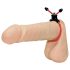 You2Toys - reguliuojamas penio žiedas (raudonas)