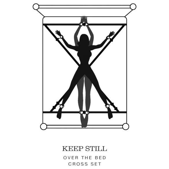 Fifty Shades of Grey - BDSM rinkinys - pilnas komplektas