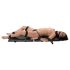 You2Toys - Bondage Board - nešiojamas suvaržymų rinkinys (13 dalių)