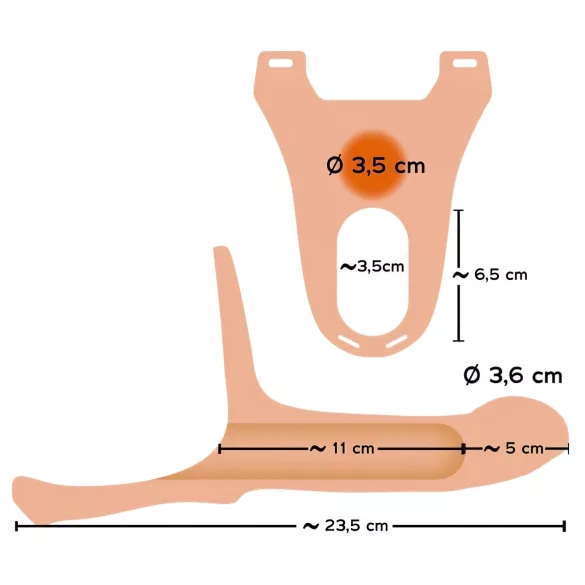 You2Toys - strap-on diržas M - tuščiaviduris dildo - kūno spalvos