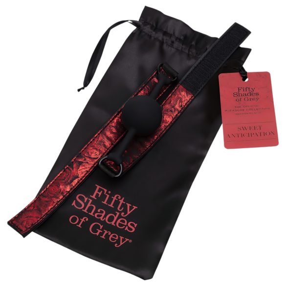 Fifty Shades of Grey - burnos antrankis - juoda/raudona