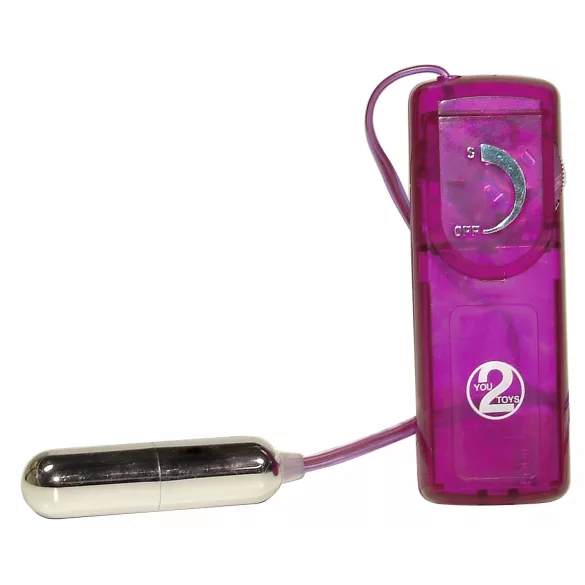 You2Toys - vibratorių rinkinys - 12 dalių erotinis rinkinys