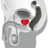 You2Toys - prostatos masažuoklis - besisukantis vibratorius juodas