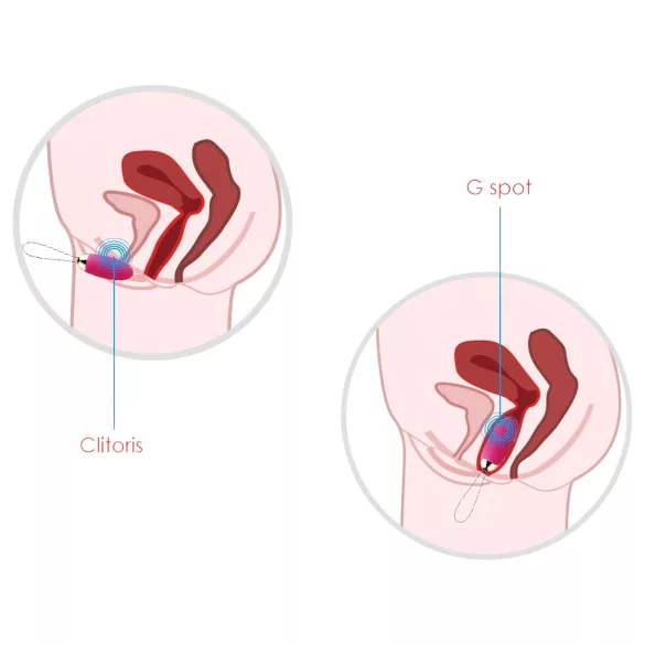 Svakom Elva - vibruojantis kiaušinėlis su nuotoliniu valdymu - raudonas