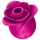 Satisfyer Pro 2 Modern Blossom - klitorio stimuliatorius su oro bangomis