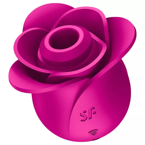 Satisfyer Pro 2 Modern Blossom - klitorio stimuliatorius su oro bangomis