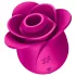 Satisfyer Pro 2 Modern Blossom - klitorio stimuliatorius su oro bangomis