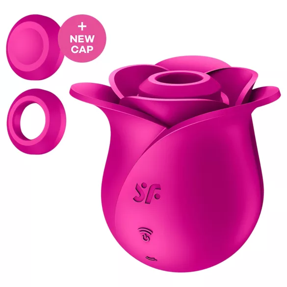 Satisfyer Pro 2 Modern Blossom - klitorio stimuliatorius su oro bangomis