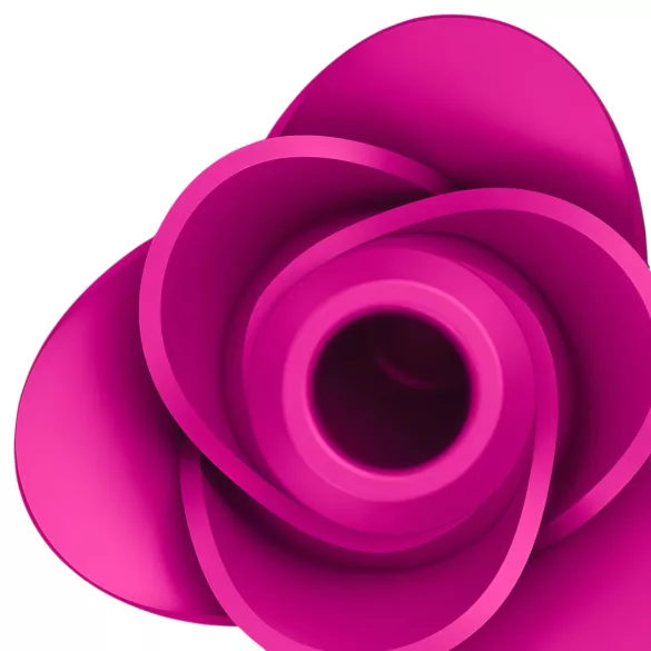 Satisfyer Pro 2 Modern Blossom - klitorio stimuliatorius su oro bangomis