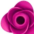 Satisfyer Pro 2 Modern Blossom - klitorio stimuliatorius su oro bangomis