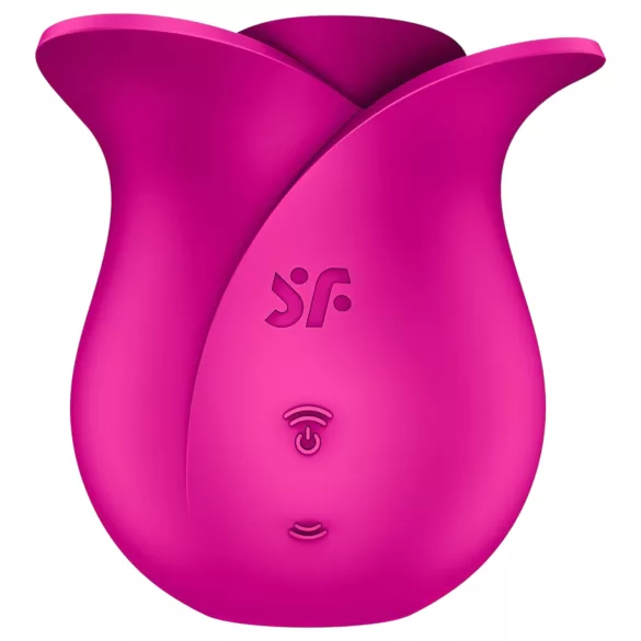Satisfyer Pro 2 Modern Blossom - klitorio stimuliatorius su oro bangomis