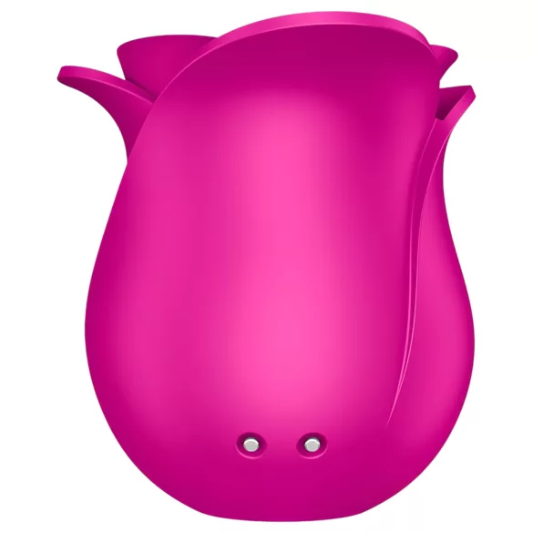 Satisfyer Pro 2 Modern Blossom - klitorio stimuliatorius su oro bangomis