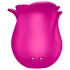 Satisfyer Pro 2 Modern Blossom - klitorio stimuliatorius su oro bangomis