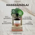 Coconutoil - intymus ir masažo aliejus - bio - 80ml
