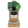 Coconutoil - natūralus įdegio aliejus - bio - 80 ml
