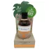 Coconutoil - natūralus įdegio aliejus - bio - 80 ml