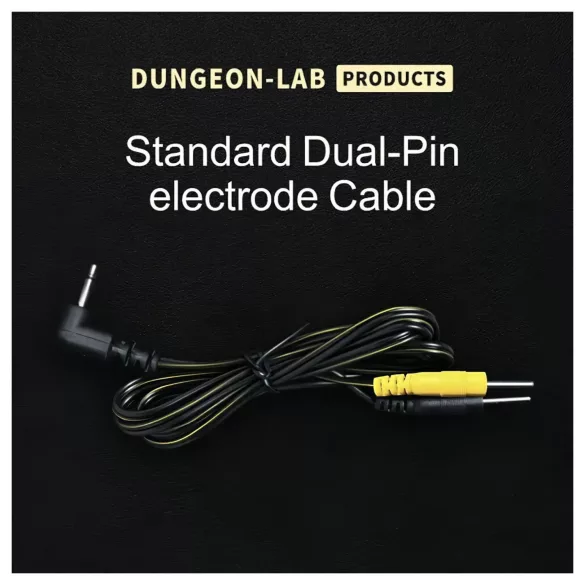 DG-LAB - elektrodų laidas nuo 2,5 mm lizdo iki 2 mm kaiščių (juodas)