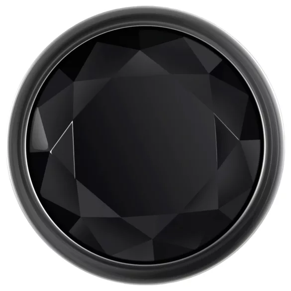 „Evolved Black Gem“ - metalinių analinių kaiščių rinkinys su juodu akmeniu (sidabrinis)