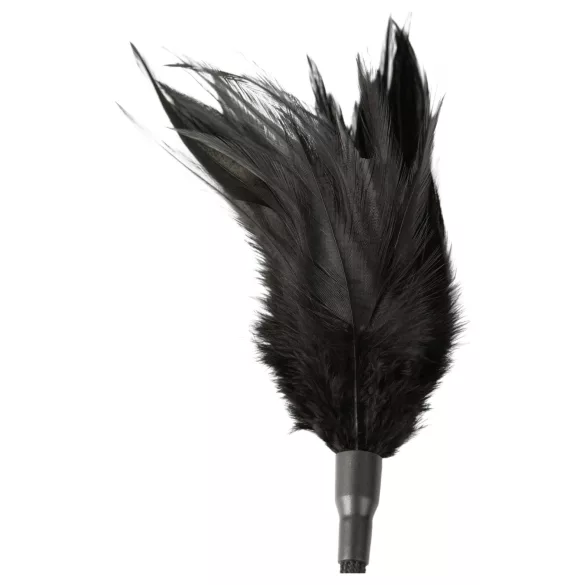 Sei Mio - botagėlis ir plunksnelė - juodas