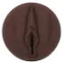 Fleshlight Nicole Kitt Purrrrrfection - masturbatorius - vagina