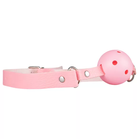 Secret Pleasure Chest - pažengusiųjų BDSM rinkinys - 14 dalių - rožinis