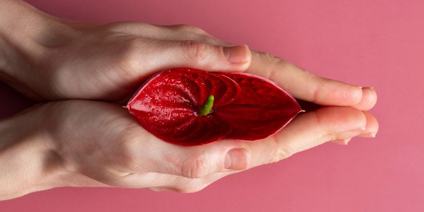 Klitorio stimuliacija su diskretišku malonumo žaislu, lovesexshop.lt sekso prekių parduotuvė